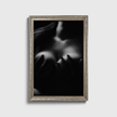 Seduction #2
